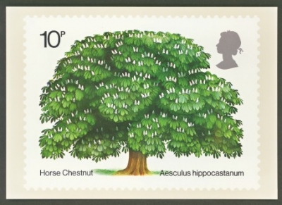 1974 Tree