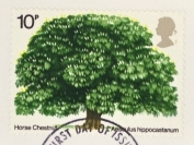 1974 Tree