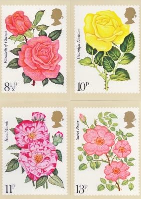 1976 Roses