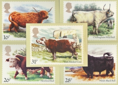 1984 Cattle