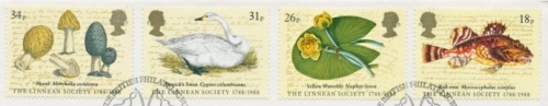 1988 Linnean