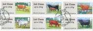 2012 Post + Go Cows
