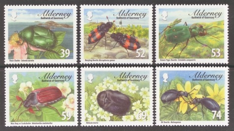 2013 Beetles