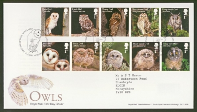 2018 Owls