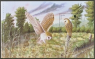 SG 1005a Birds Owl