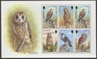 SG 999d Birds Owl