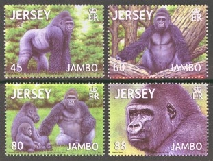 2012 Gorilla