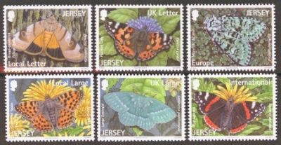 2012 Butterflies
