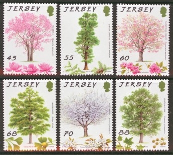 2012 Trees