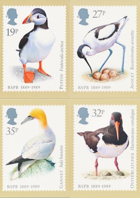 1989 Birds