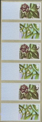 2014 2nd class Winter Greenery 6v Missing Text (the source codes and value)