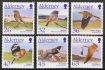 Alderney Stamps