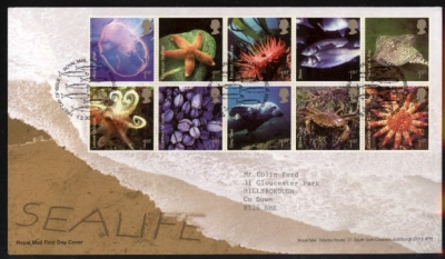 2007 Sea Life