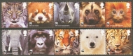 2011 Wildlife fund