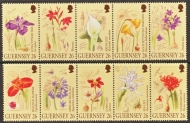 2000 Botany