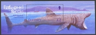 2005 Shark M/S