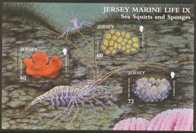 2011 Marine Life M/S