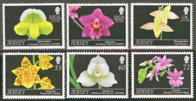 2011 Jersey Orchids