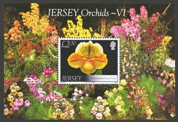 2008 Orchids M/S
