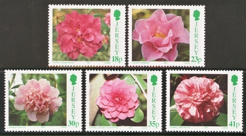 1995 Camellias
