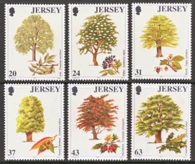 1997 Trees