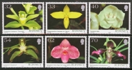 2004 Orchids