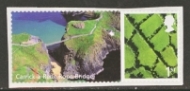 LS46 2008  N Ireland stamp
